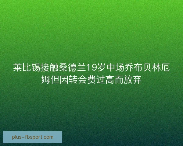莱比锡接触桑德兰19岁中场乔布贝林厄姆但因转会费过高而放弃